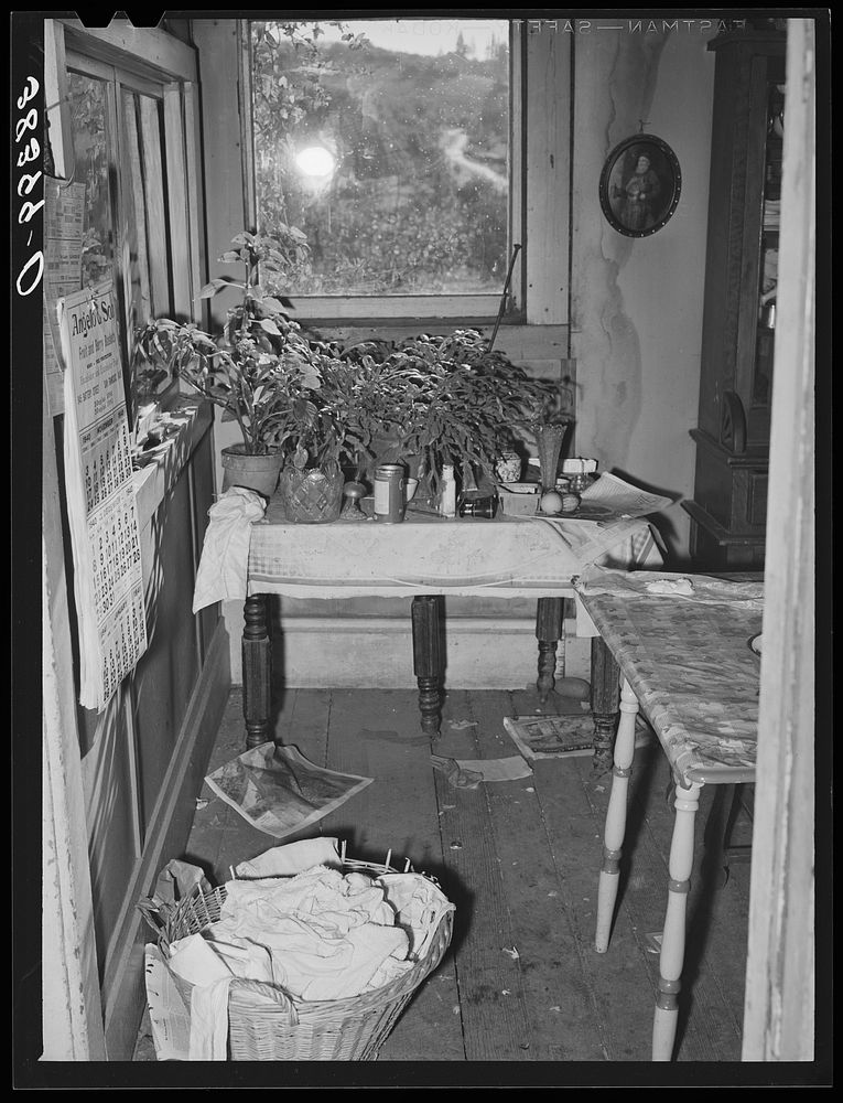 Corner of kitchen in fruit farmer's house. Placer County, California by Russell Lee