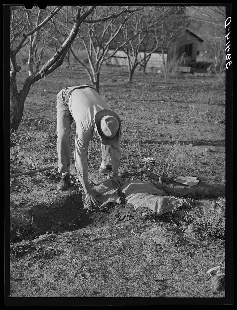 Farmer using sacking bank irrigation | Free Photo - rawpixel