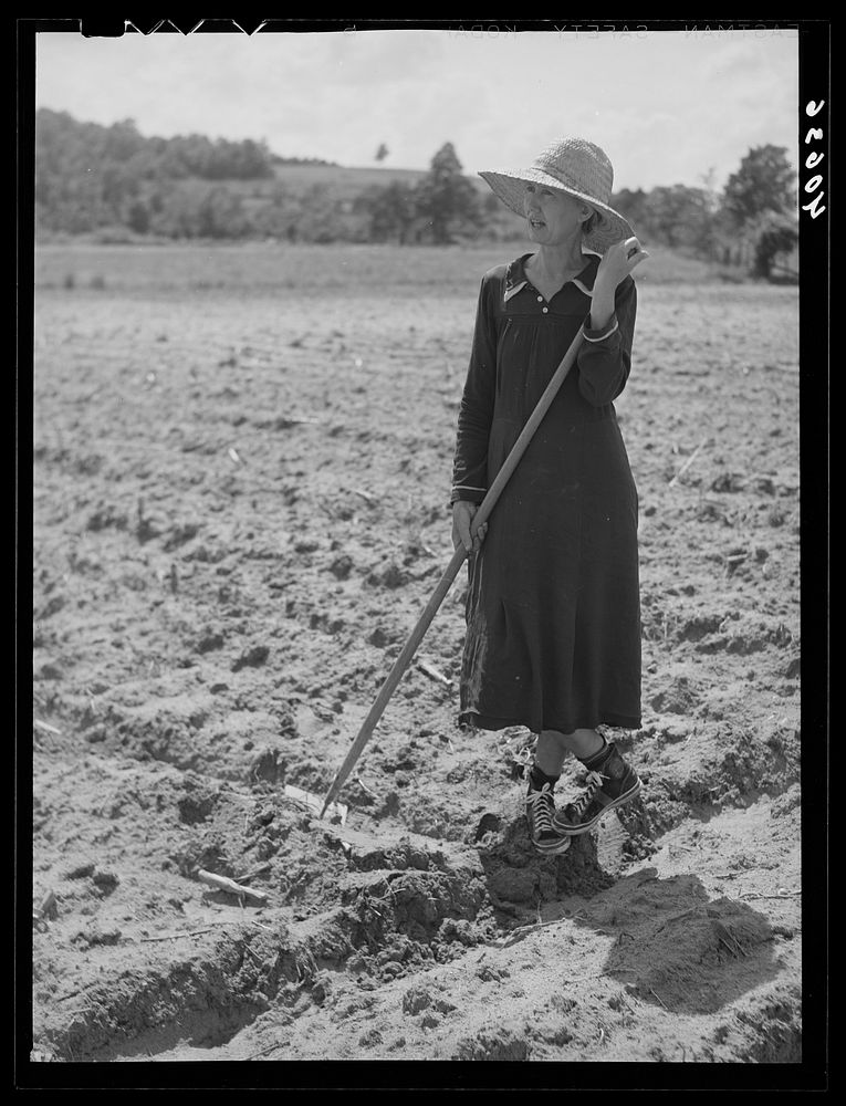 [Untitled photo, possibly related to: Mrs. Jones, wife of tenant farmer. Near Farrington, Orange County, North Carolina].…