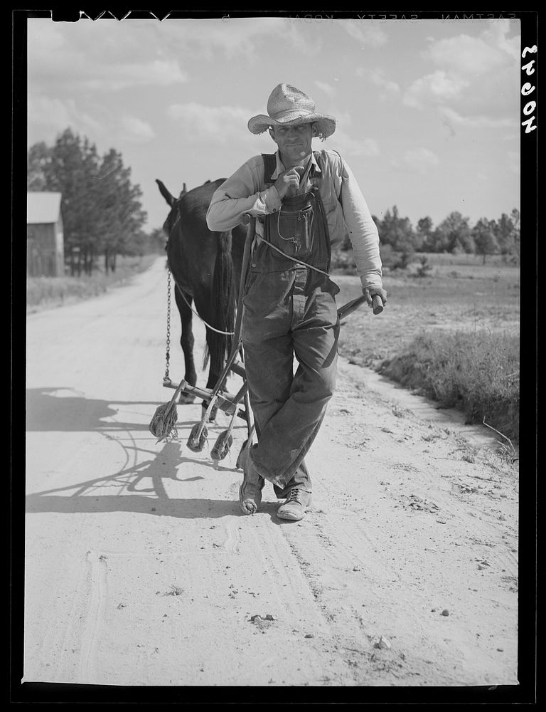 Farmer going home from his field. Near Farrington, Chatham County, North Carolina. Sourced from the Library of Congress.