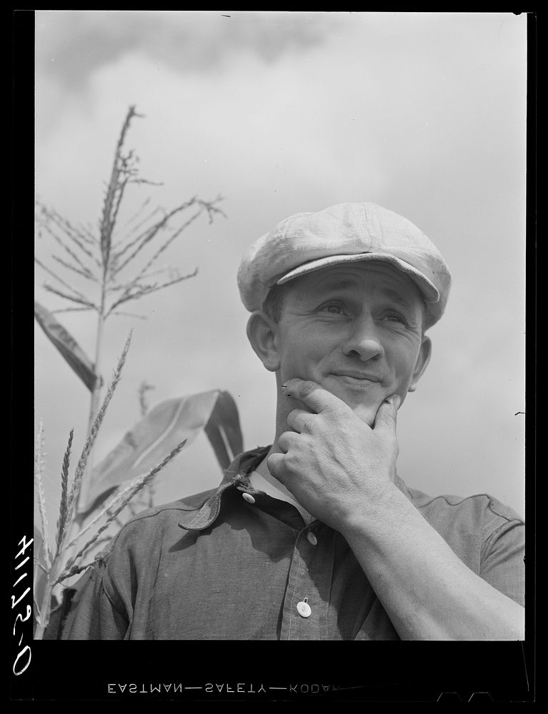 Mr. Rudolph, member of Tri-County Farmers Co-op Market at Du Bois, Pennsylvania. Owns a seventy-five acre farm near…