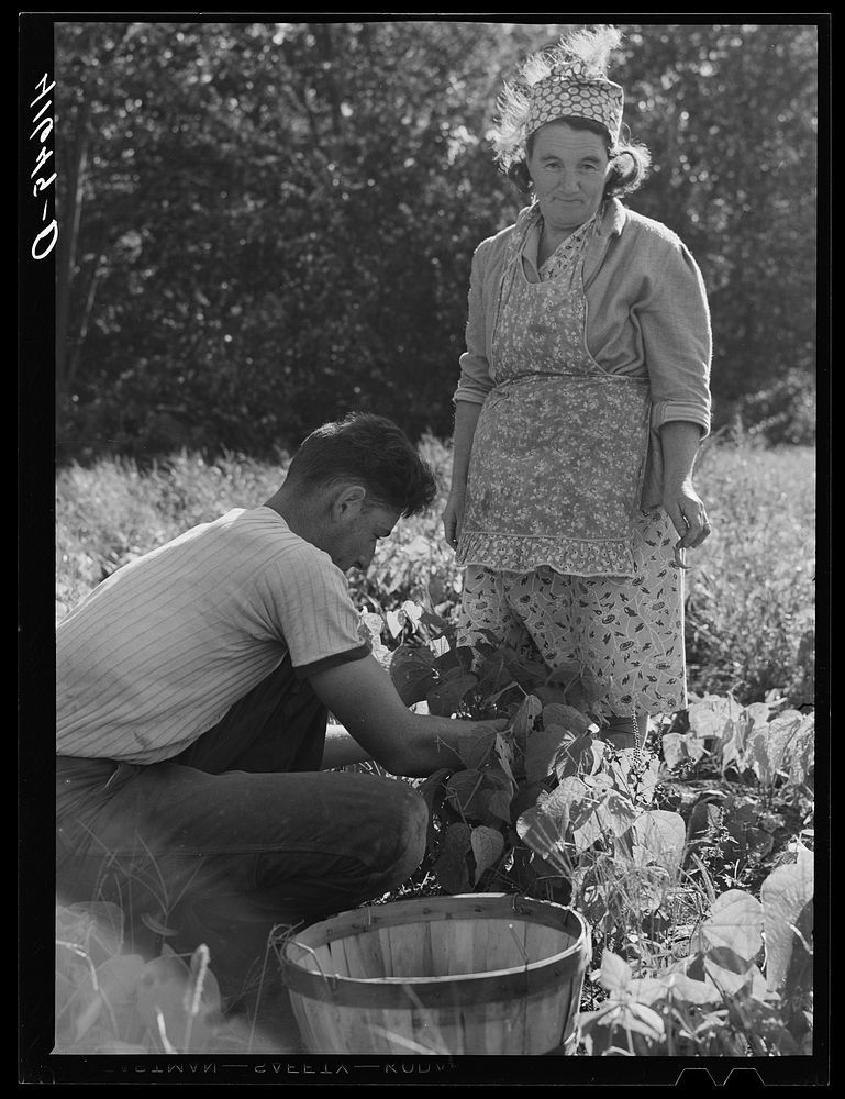[Untitled photo, possibly related to: Mrs. Louis Saffer and one of her sons. Jewish truck farmers near Branford…