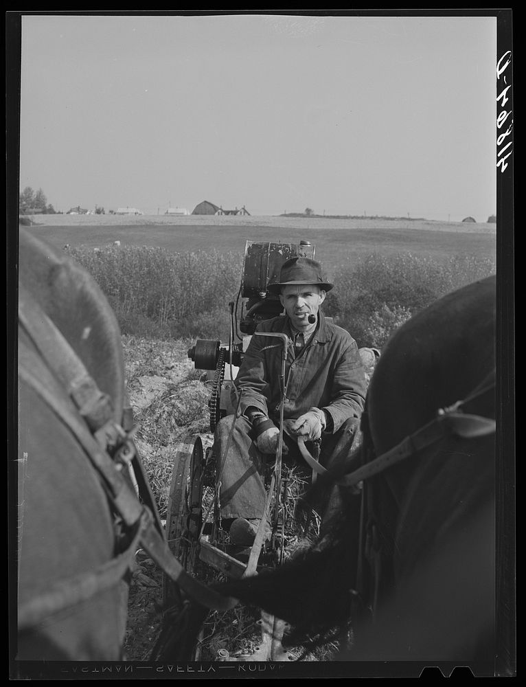 French Canadian potato farmer on a horse-drawn digger. Near Caribou, Maine. Sourced from the Library of Congress.