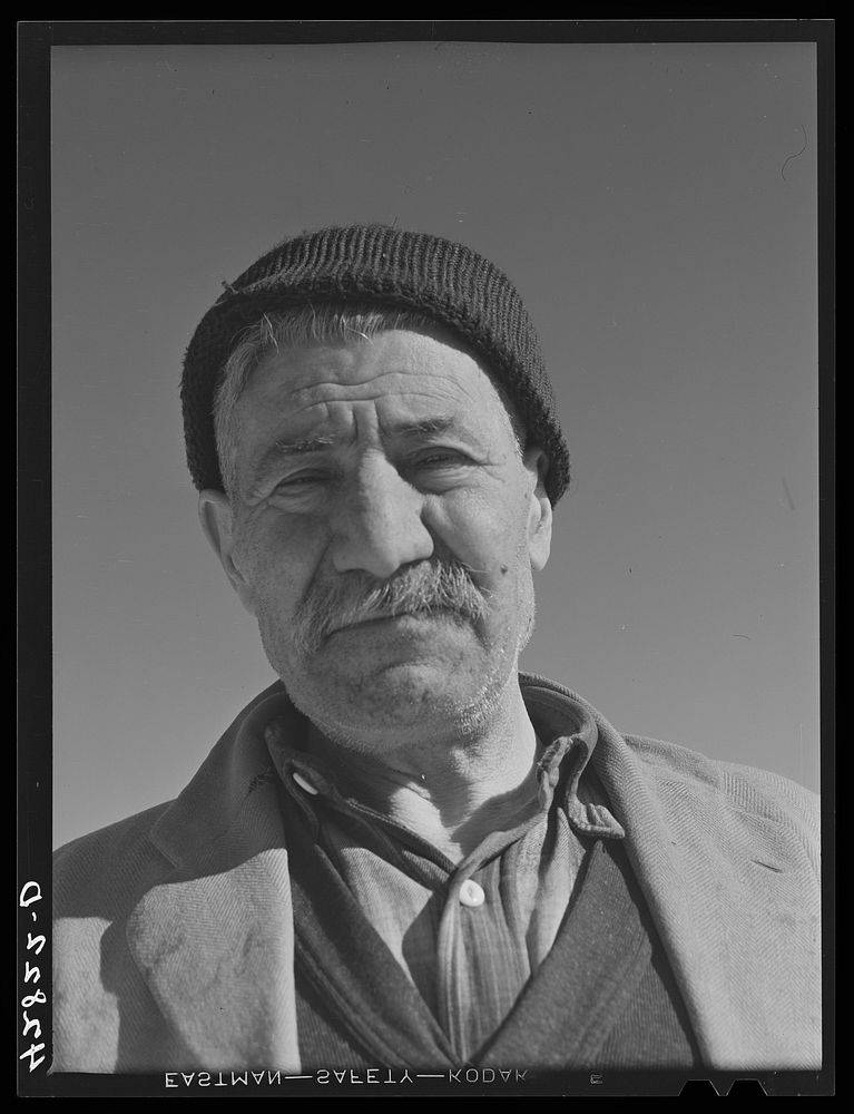 Mr. Hazar Loosigian, Armenian. Runs a small vegetable farm. The money his son makes on WPA (Work Projects Administration)…
