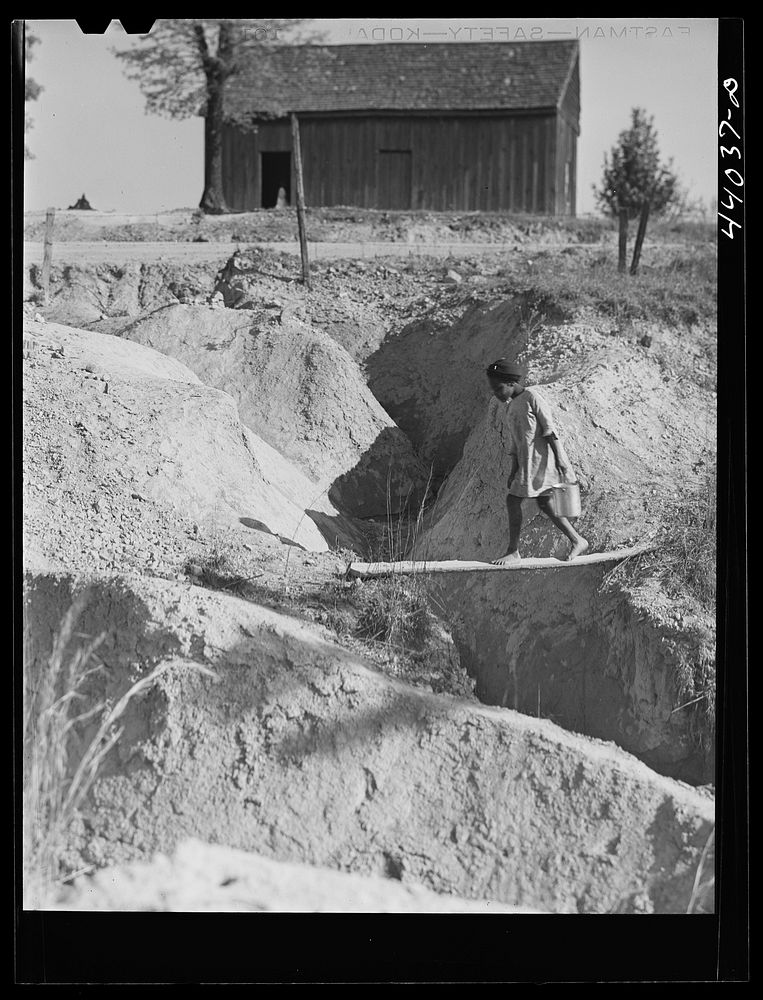[Untitled photo, possibly related to: Erosion in south section of Heard County, Georgia]. Sourced from the Library of…