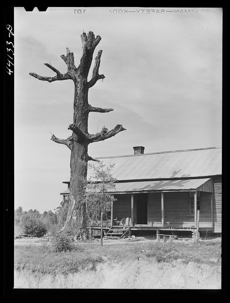 House along the road in Heard County, Georgia. Sourced from the Library of Congress.