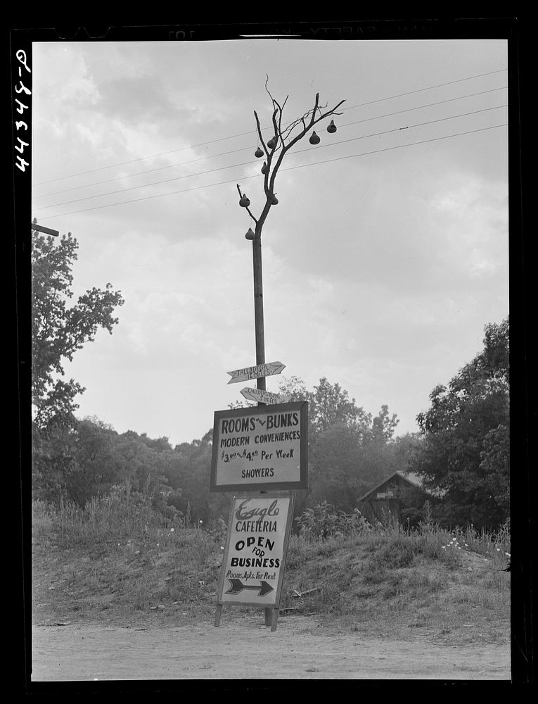 Signs recently put up at Kymulga, a community near Childersburg, Alabama. Sourced from the Library of Congress.