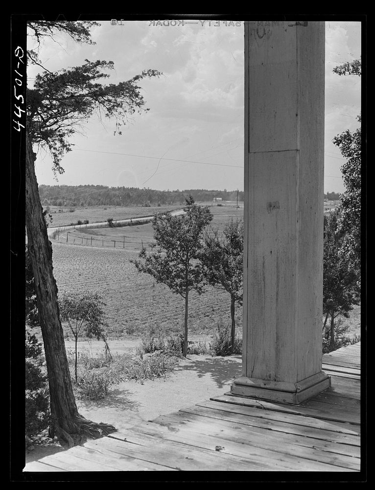 Landscape from the plantation house on the Jackson farm, near White Plains, Greene County, Georgia. Sourced from the Library…