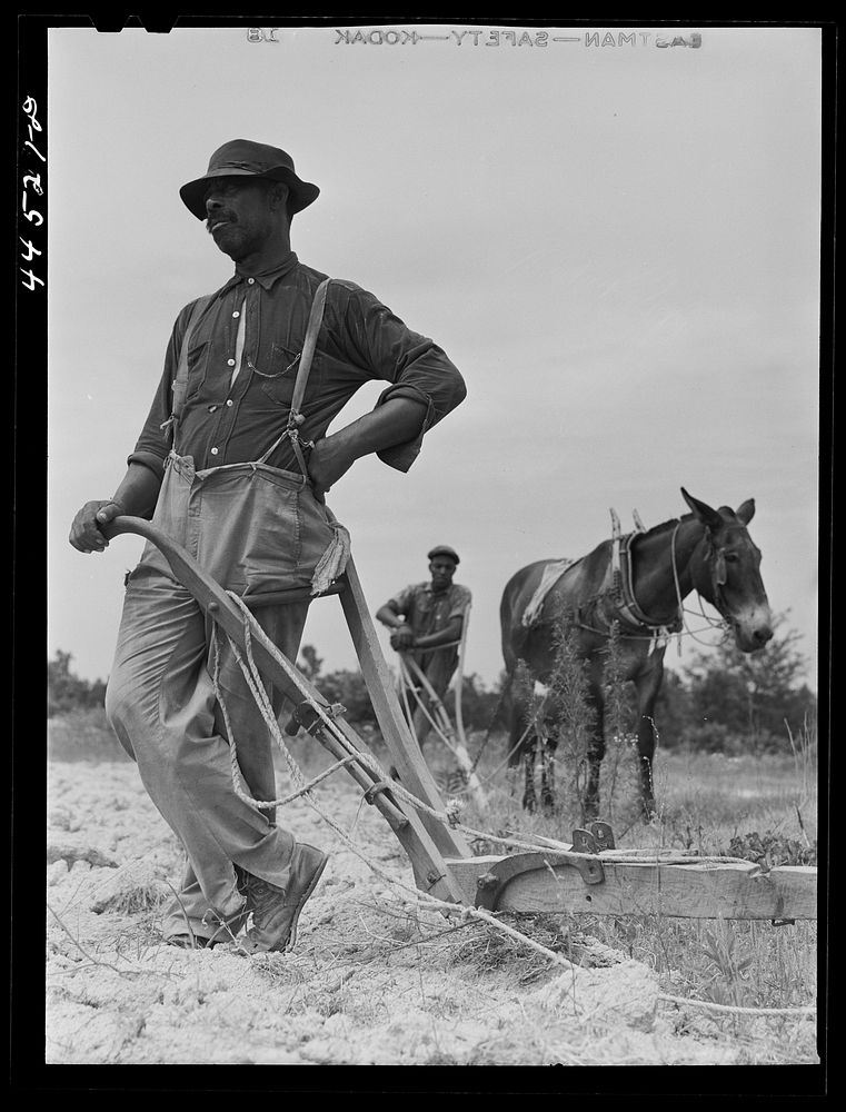 Mr. Jim Brown,  landowner near Siloam, Greene County, Georgia. Sourced from the Library of Congress.