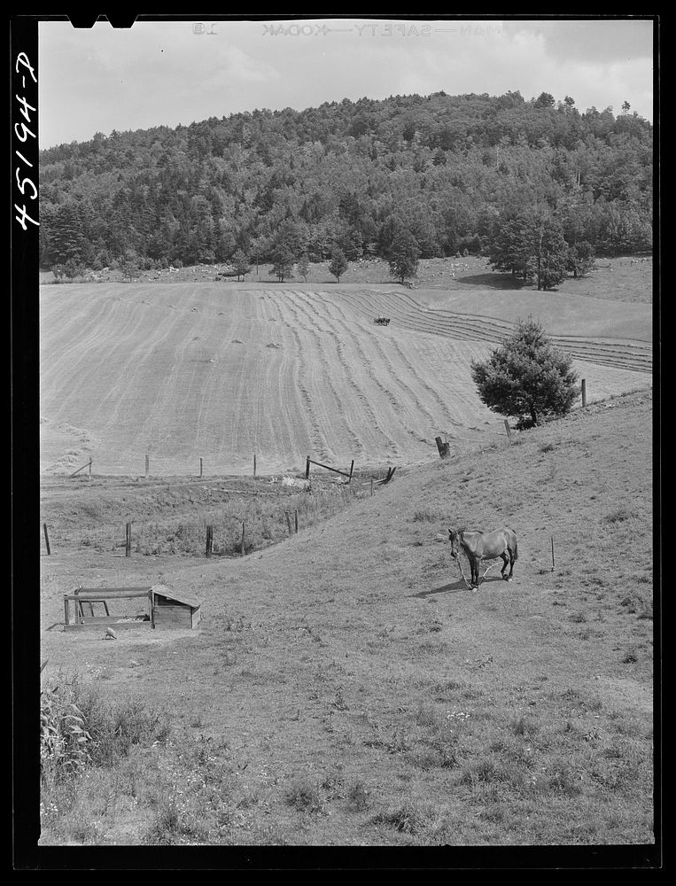 Farm landscape near Hanover, New Hampshire. Sourced from the Library of Congress.