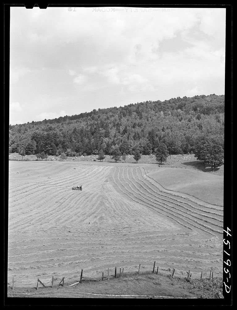 [Untitled photo, possibly related to: Farm landscape near Hanover, New Hampshire]. Sourced from the Library of Congress.