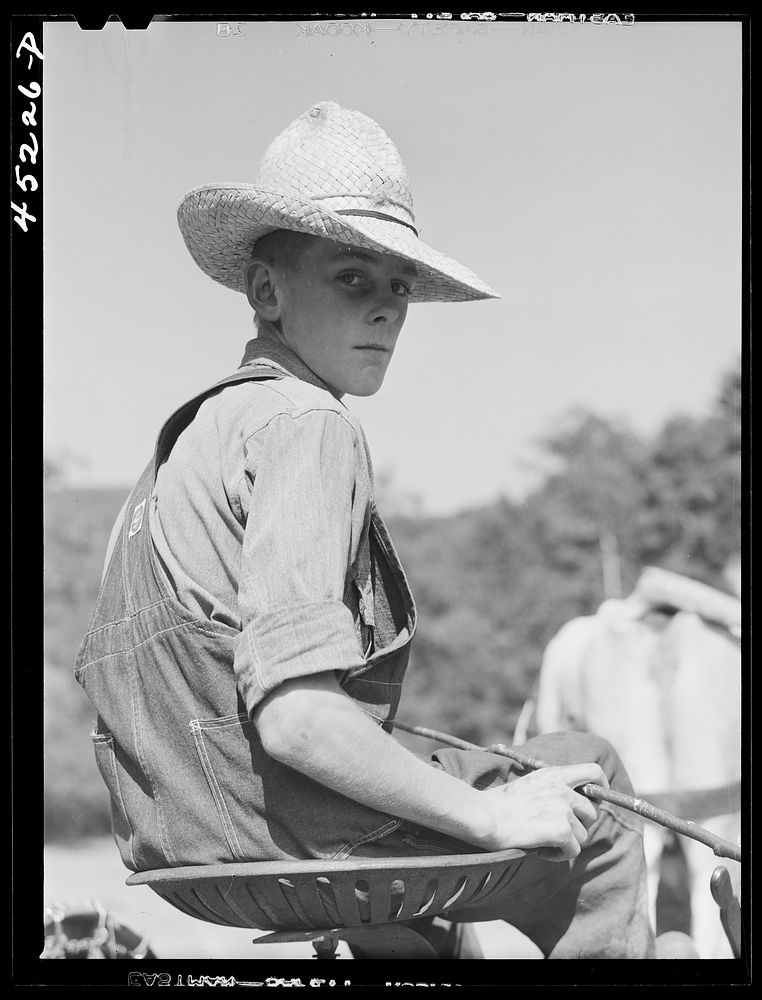 Son of Silas Butson, FSA (Farm Security Administration) client, helping to cut the hay. Athens, Vermont. Sourced from the…