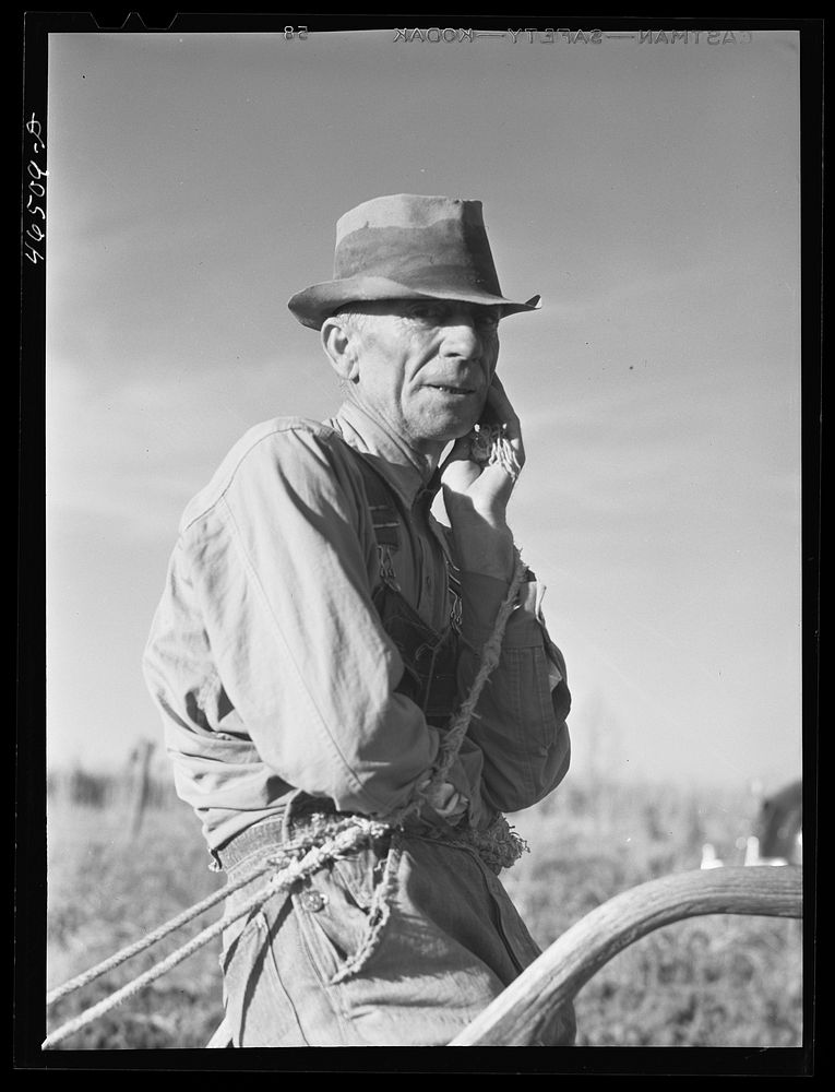 Mr. W.H. Holmes, a renter on the Wray place, plowing sweet potatoes, Greene County, Georgia. Sourced from the Library of…