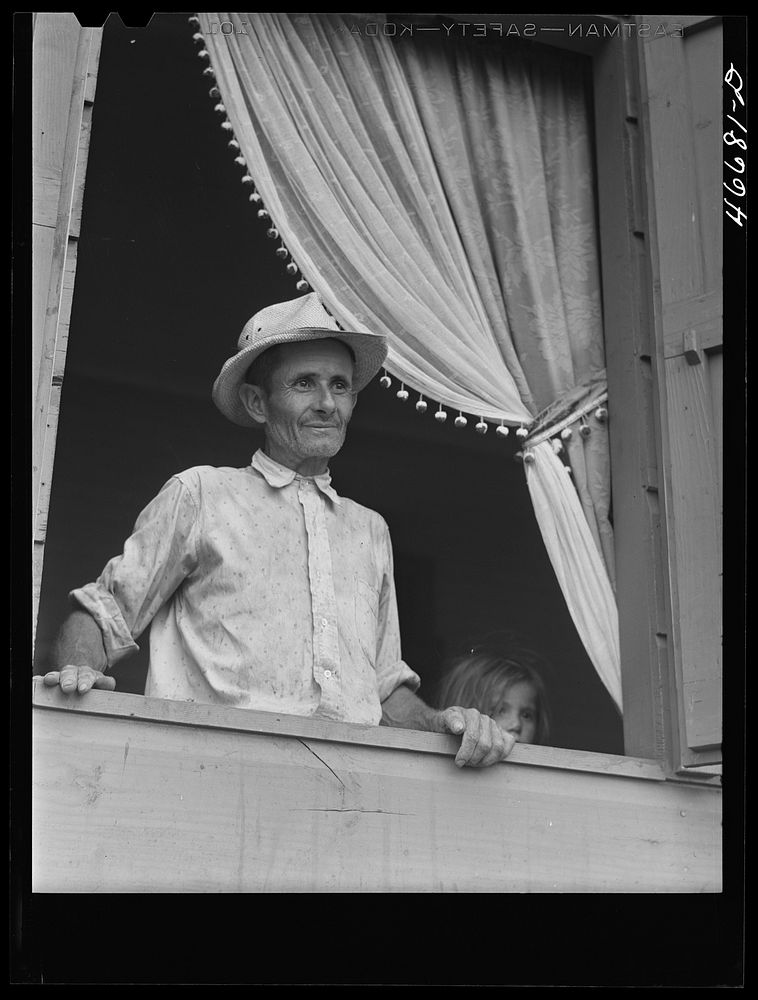 [Untitled photo, possibly related to: Barranquitas, Puerto Rico (vicinity). FSA (Farm Security Administration) tenant…