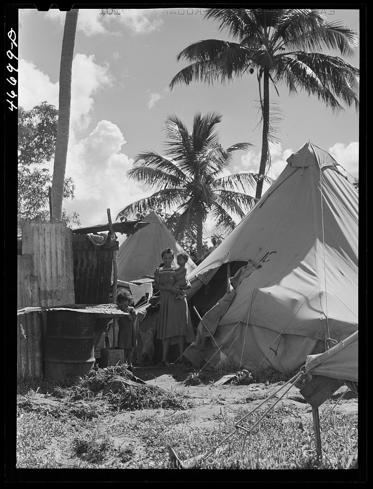 Bayamon, Puerto Rico (vicinity). Tent colony of twenty-five families who had been squatters on land taken over the Navy.…