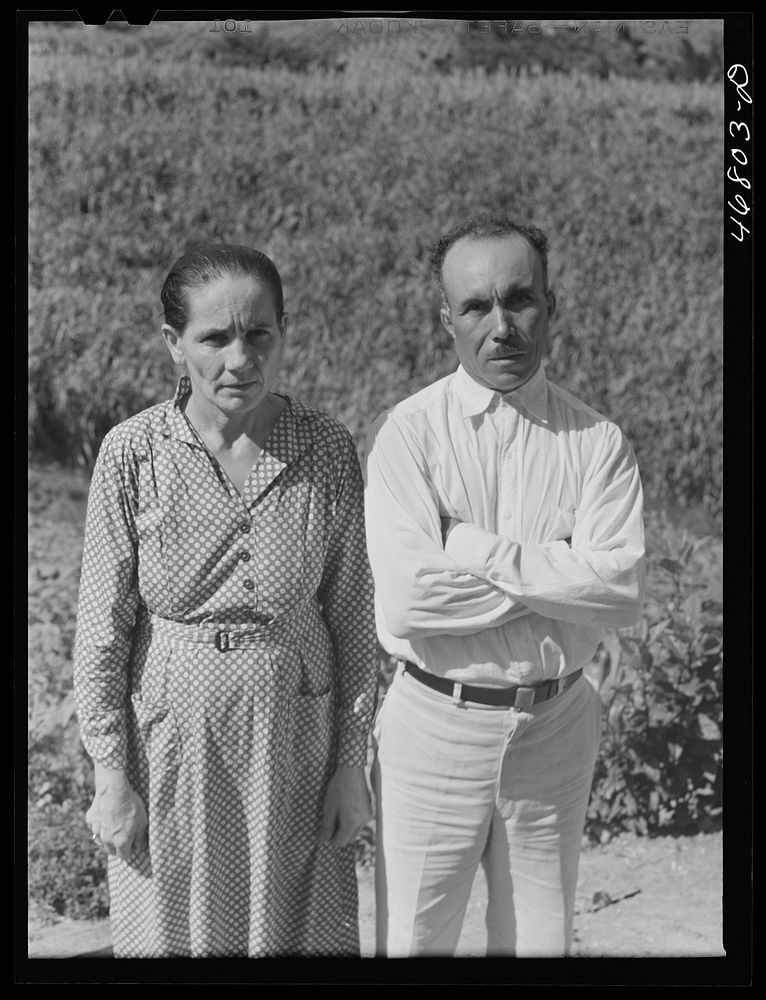 [Untitled photo, possibly related to: Corozal, Puerto Rico (vicinity). Mr. and Mrs. Ecequiel Irene, FSA (Farm Security…