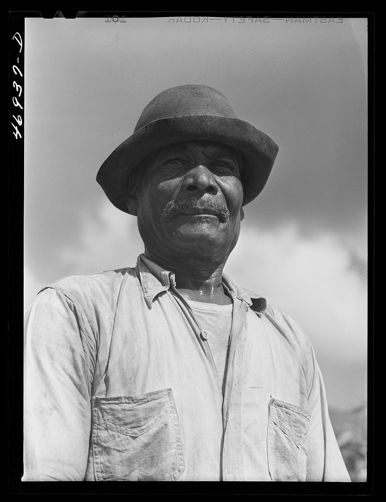 Frederiksted (vicinity), Saint Croix Island, Virgin Islands. FSA (Farm Security Administration) borrower. Sourced from the…