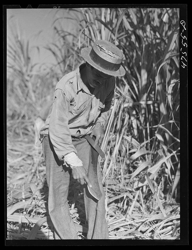 Guanica, Puerto Rico (vicinity). Sharpening a "machete" used in cutting sugar cane. Sourced from the Library of Congress.