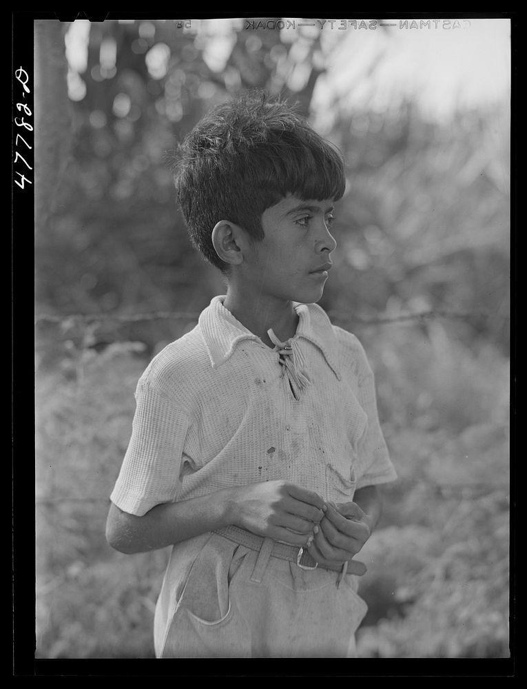 [Untitled photo, possibly related to: Yauco, Puerto Rico (vicinity). Son of a sugar cane worker]. Sourced from the Library…