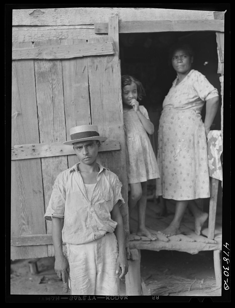 [Untitled photo, possibly related to: Yauco, Puerto Rico (vicinity). Family of a FSA (Farm Security Administration) borrower…