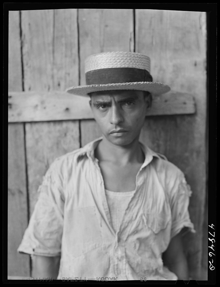 [Untitled photo, possibly related to: Yauco, Puerto Rico (vicinity). FSA (Farm Security Administration) borrower]. Sourced…