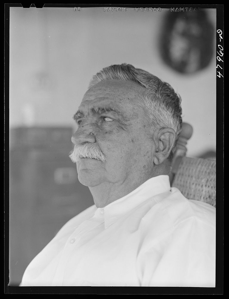 [Untitled photo, possibly related to: Guanica, Puerto Rico (vicinity). Don Luis Quinones, member of an old Puerto Rican…