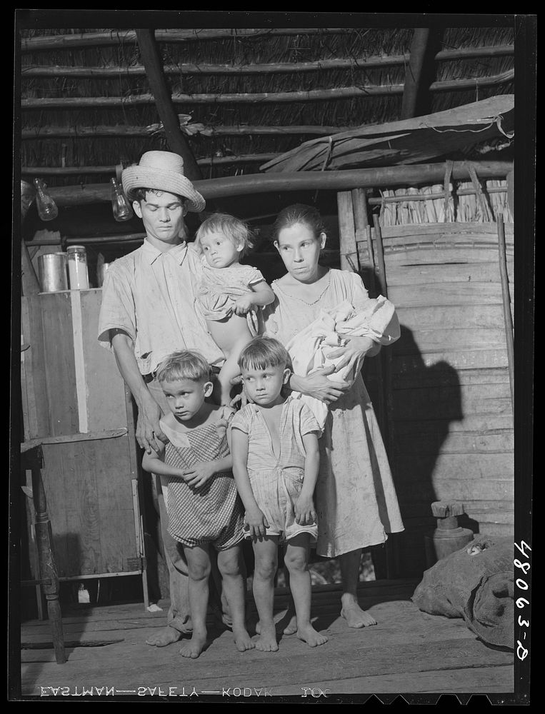 [Untitled photo, possibly related to: Utuado, Puerto Rico (vicinity). FSA (Farm Security Administration) borrower and his…