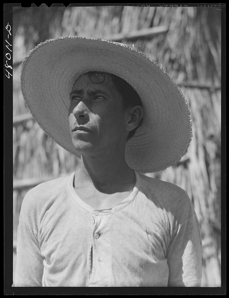[Untitled photo, possibly related to: Arecibo, Puerto Rico (vicinity). Tenant farmer who lives in a thatched house in the…