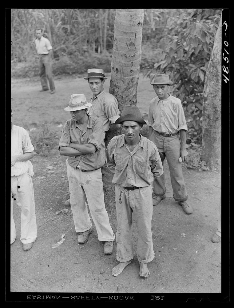 Yabucoa, Puerto Rico (vicinity). Sugar cane workers on strike. Sourced from the Library of Congress.