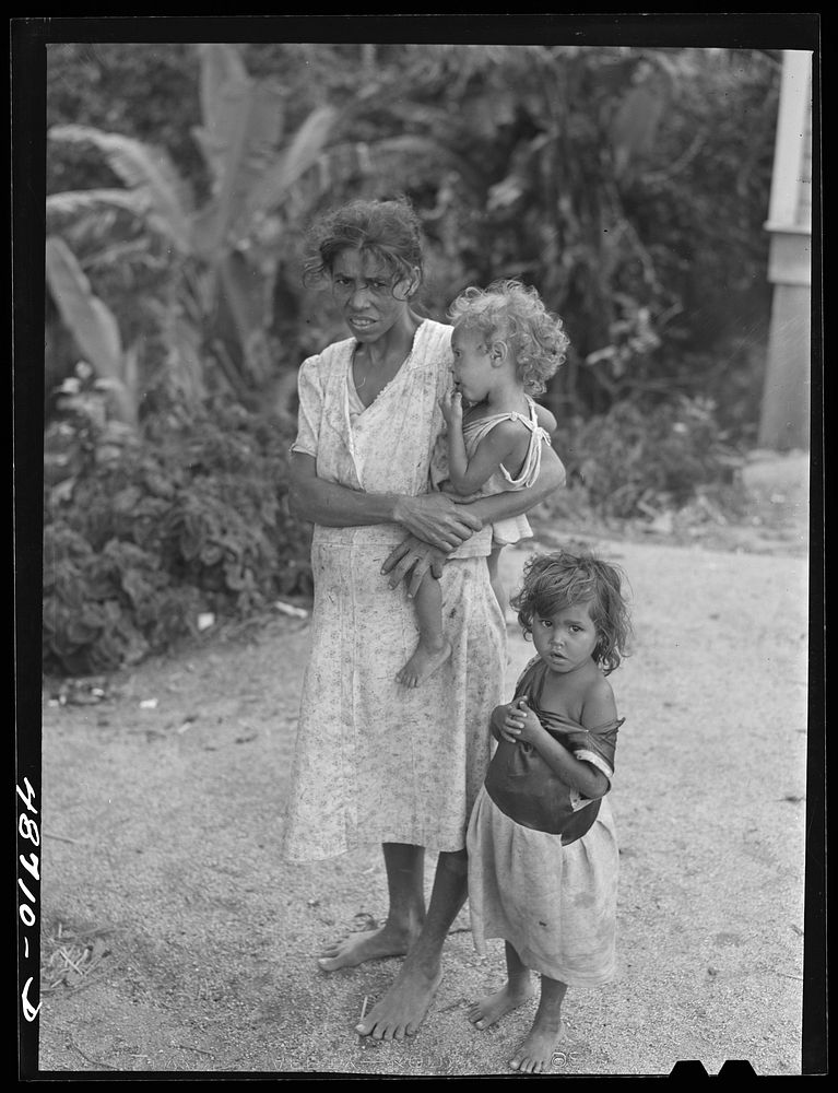 [Untitled photo, possibly related to: Yabucoa, Puerto Rico (vicinity). Wife and some of the children of a farm laborer].…