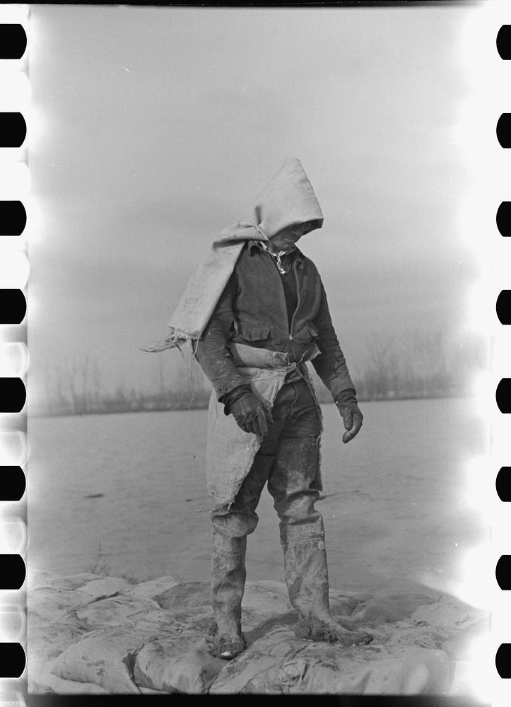 Levee worker during the flood, on a raw day with a thirty-mile wind. These men are very cold and almost exhausted from…