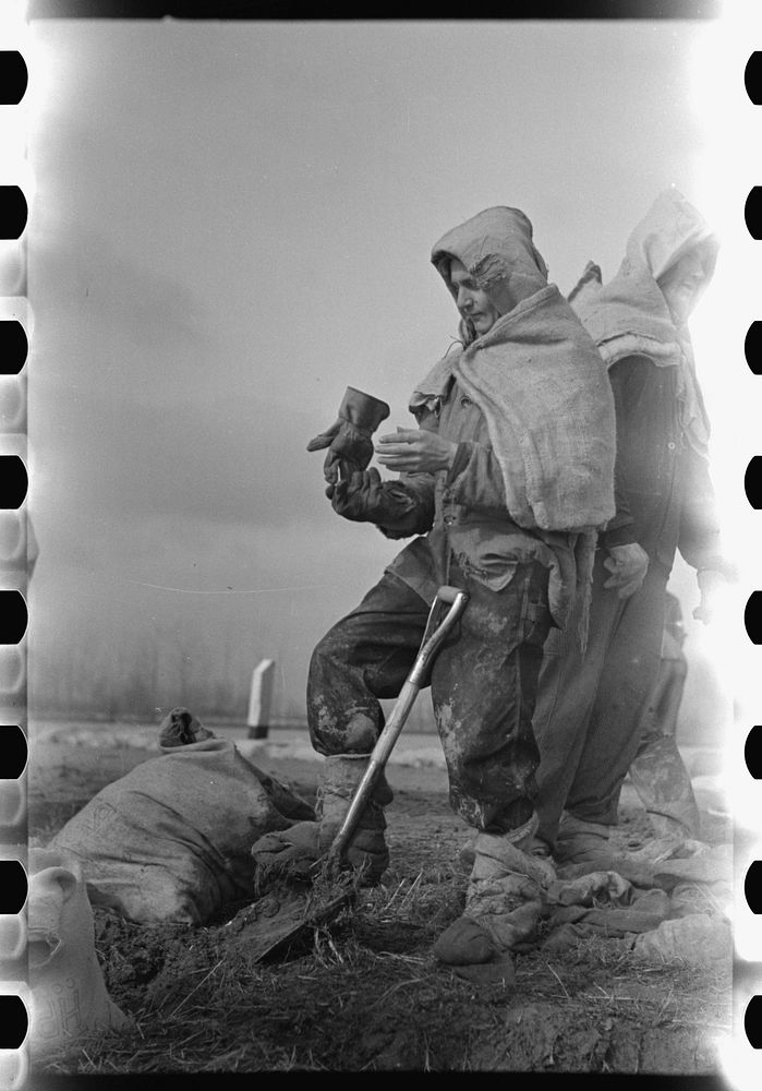 [Untitled photo, possibly related to: Levee worker during the flood, on a raw day with a thirty-mile wind. These men are…