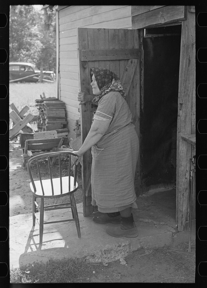 Wife of Bohemian farmer near Black River Falls, Wisconsin by Russell Lee