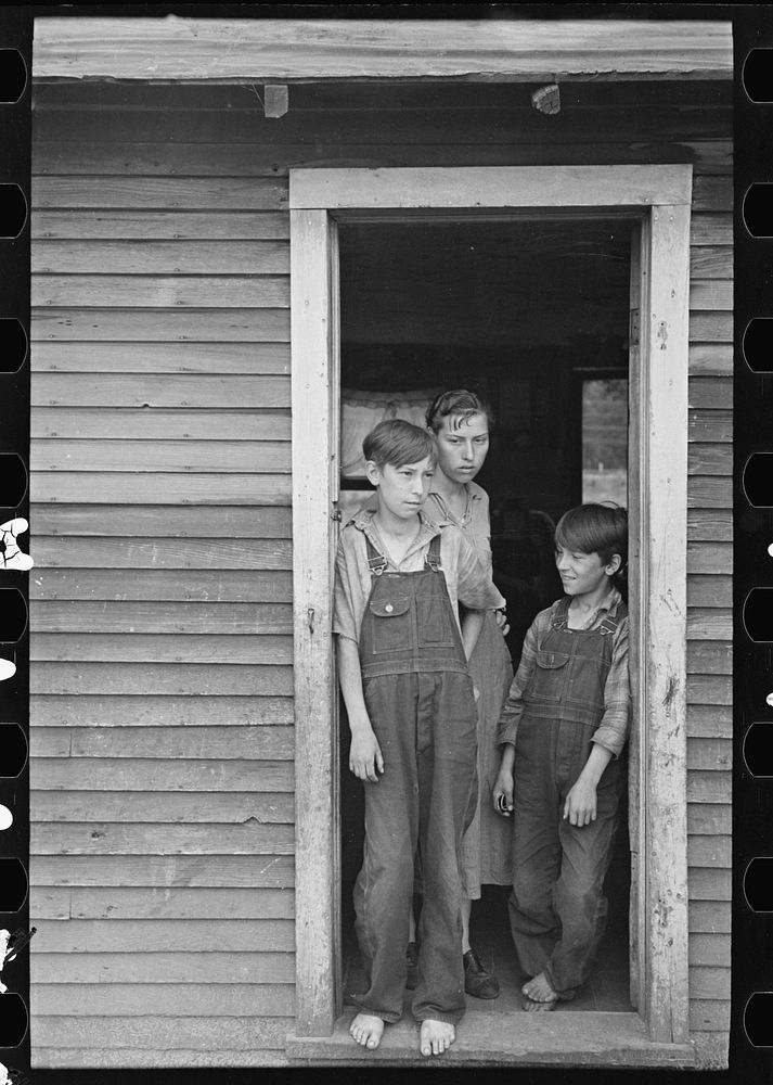[Untitled photo, possibly related to: Children of John Mathews, near Black River Falls, Wiscconsin] by Russell Lee