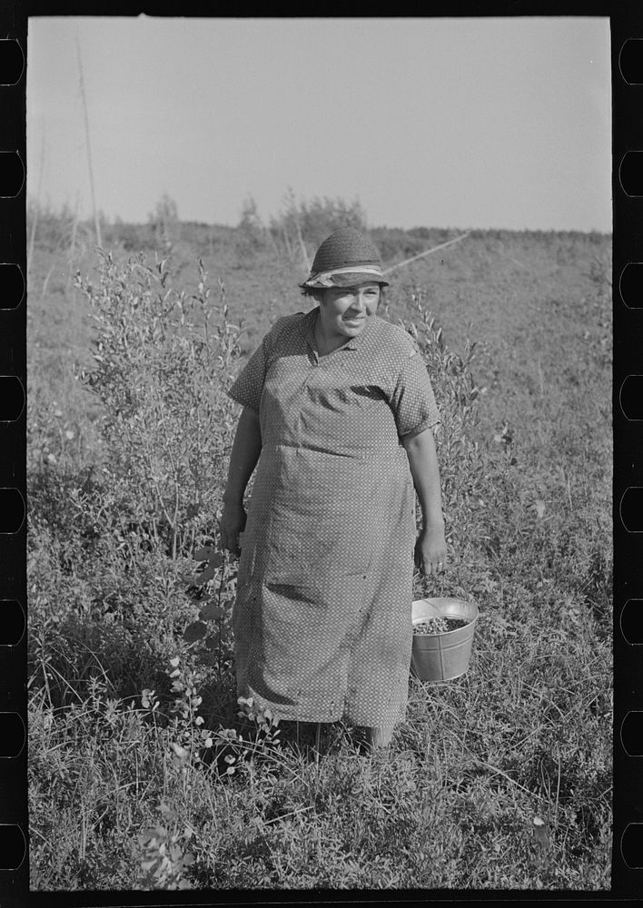 Indian blueberry picker, near Little Fork, Minnesota by Russell Lee