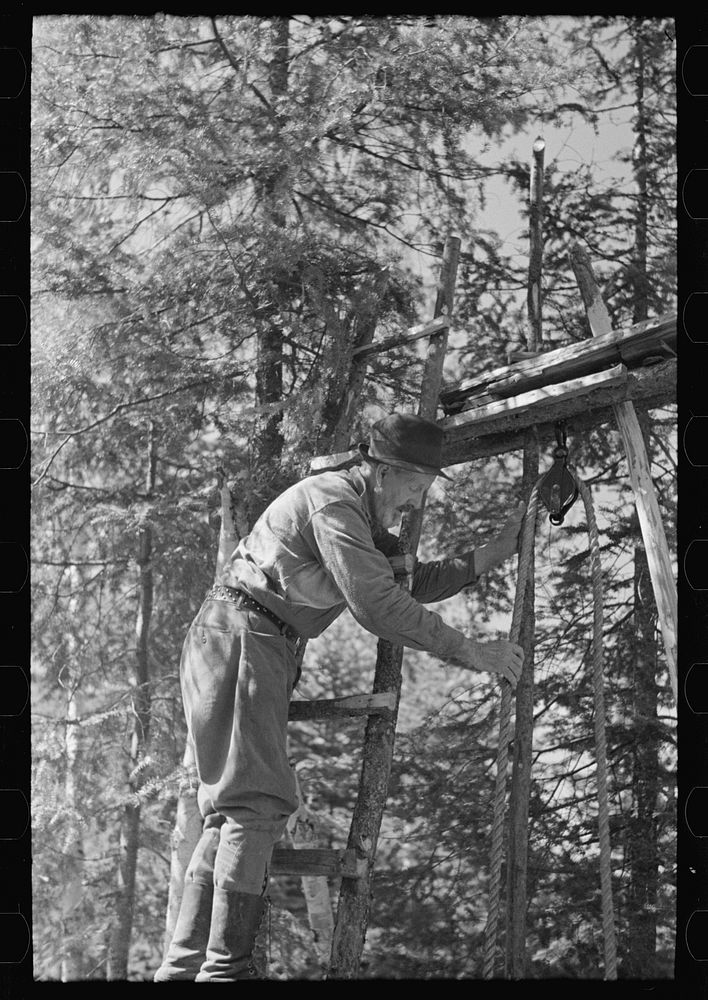 [Untitled photo, possibly related to: | Free Photo - rawpixel