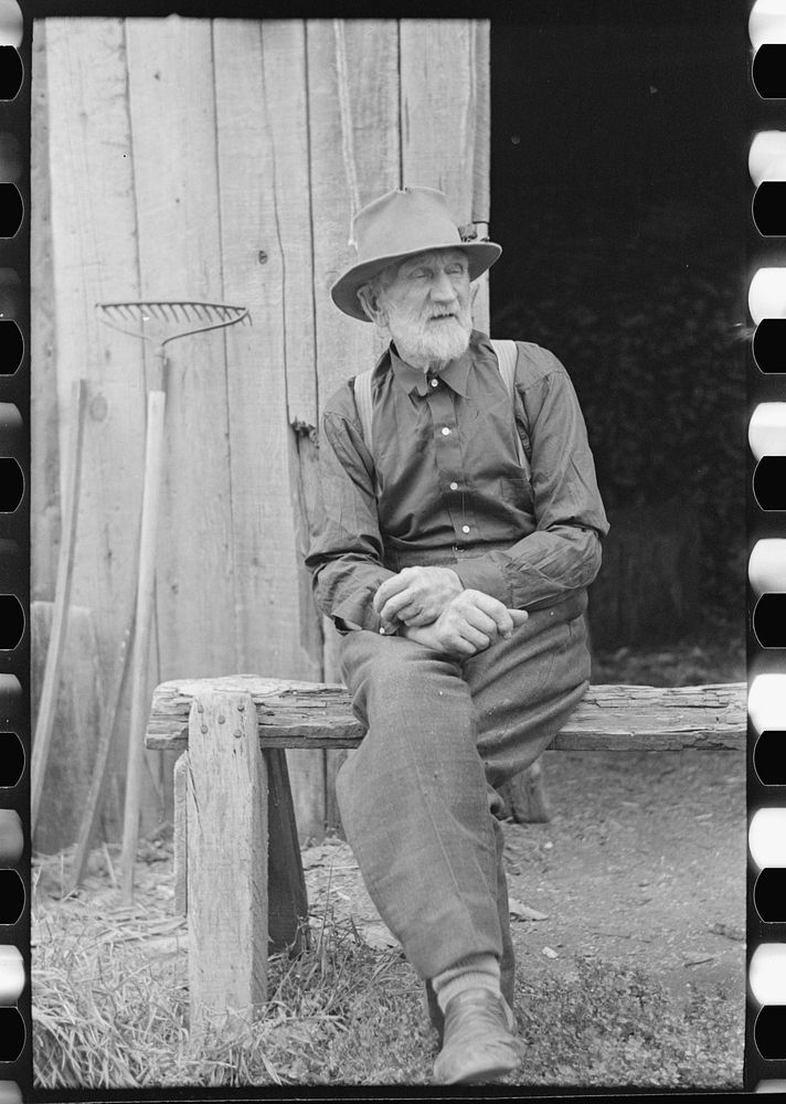 Old lumberjack, Winton, Minnesota by Russell Lee