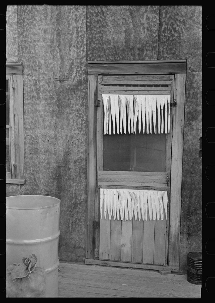 Back door of farm home. Williams County, North Dakota by Russell Lee