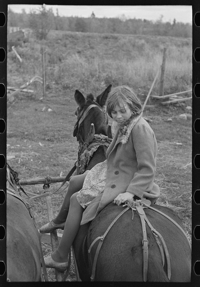 [Untitled photo, possibly related to: Girl astride mule, farm near Northome, Minnesota] by Russell Lee