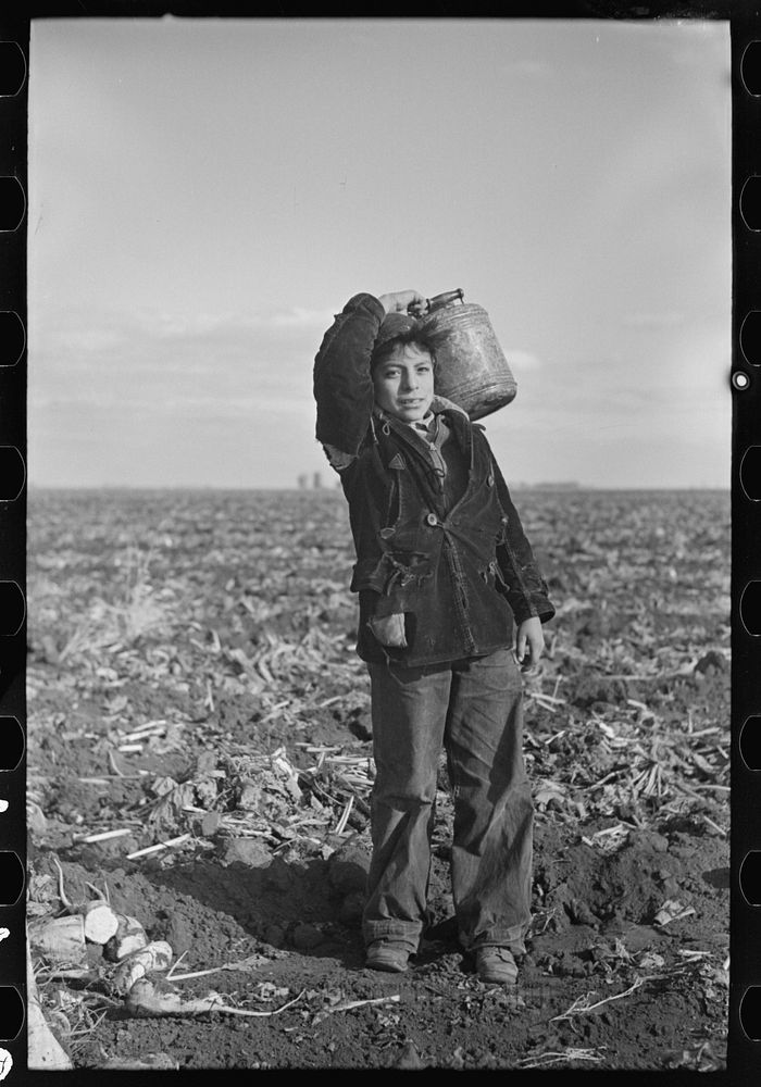 Mexican boy water carrier in beet field near East Grand Forks, Minnesota by Russell Lee