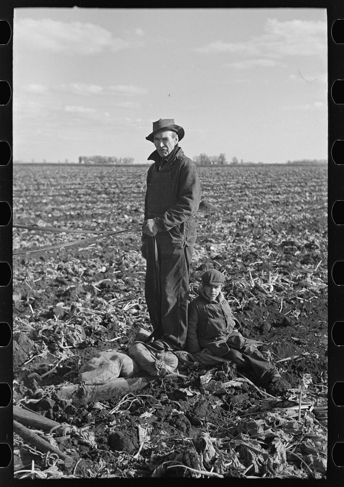 Beet worker and small child in field near East Grand Forks, Minnesota by Russell Lee