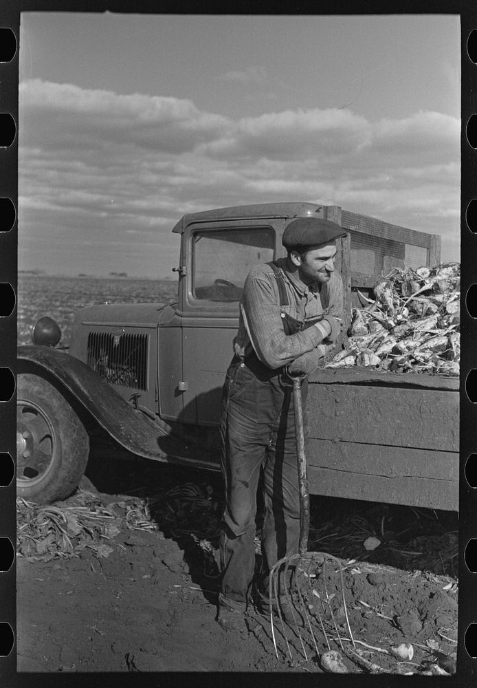 Beet worker resting, East Grand Forks, Minnesota by Russell Lee