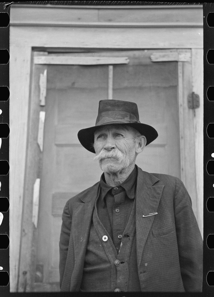Old sheep herder, Sheridan County, Montana by Russell Lee