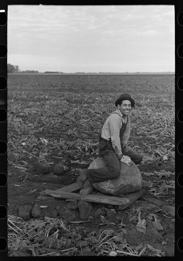 [Untitled photo, possibly related to: Mexican sugar beet worker, near Fisher, Minnesota] by Russell Lee