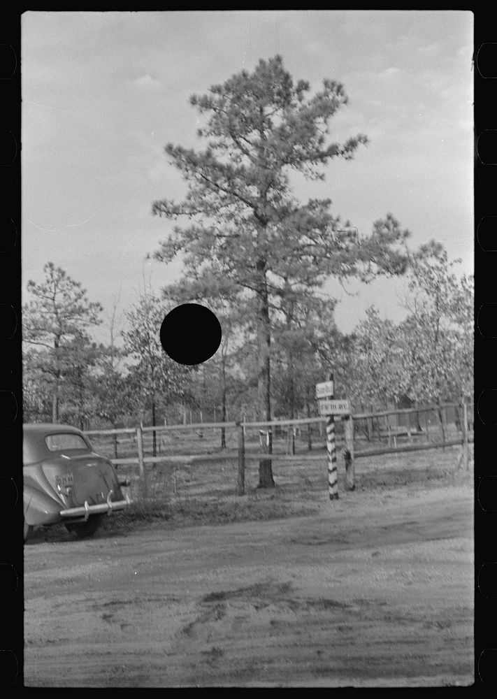 [Untitled photo, possibly related to: Sign showing donation of land by land developing project, central New Jersey pine…
