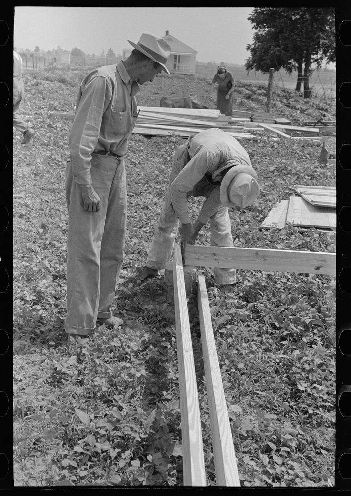[Untitled photo, possibly related to: Barn erection. Nailing together precut girders in barn floor system. Southeast…