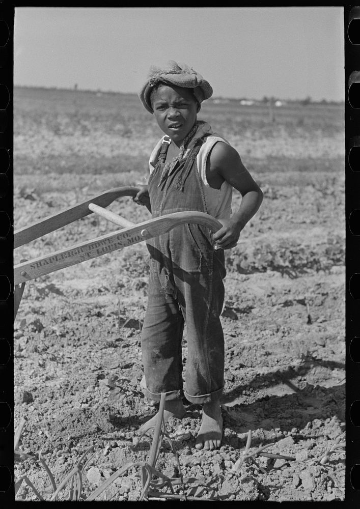 New Madrid County, Missouri. Child of sharecropper cultivating cotton by Russell Lee