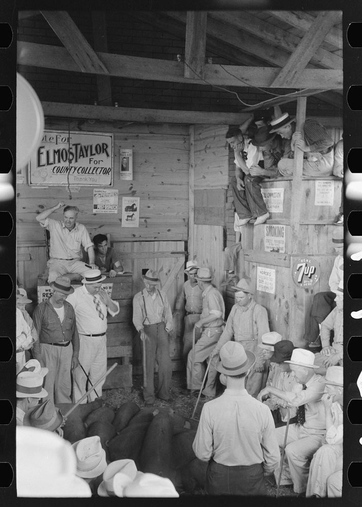 [Untitled photo, possibly related to: Spectators at auction sale, Sikeston, Missouri] by Russell Lee