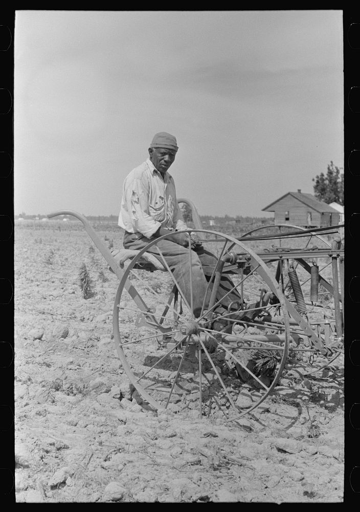 [Untitled photo, possibly related to: Southeast Missouri Farms. FSA (Farm Security Administration) client, former…