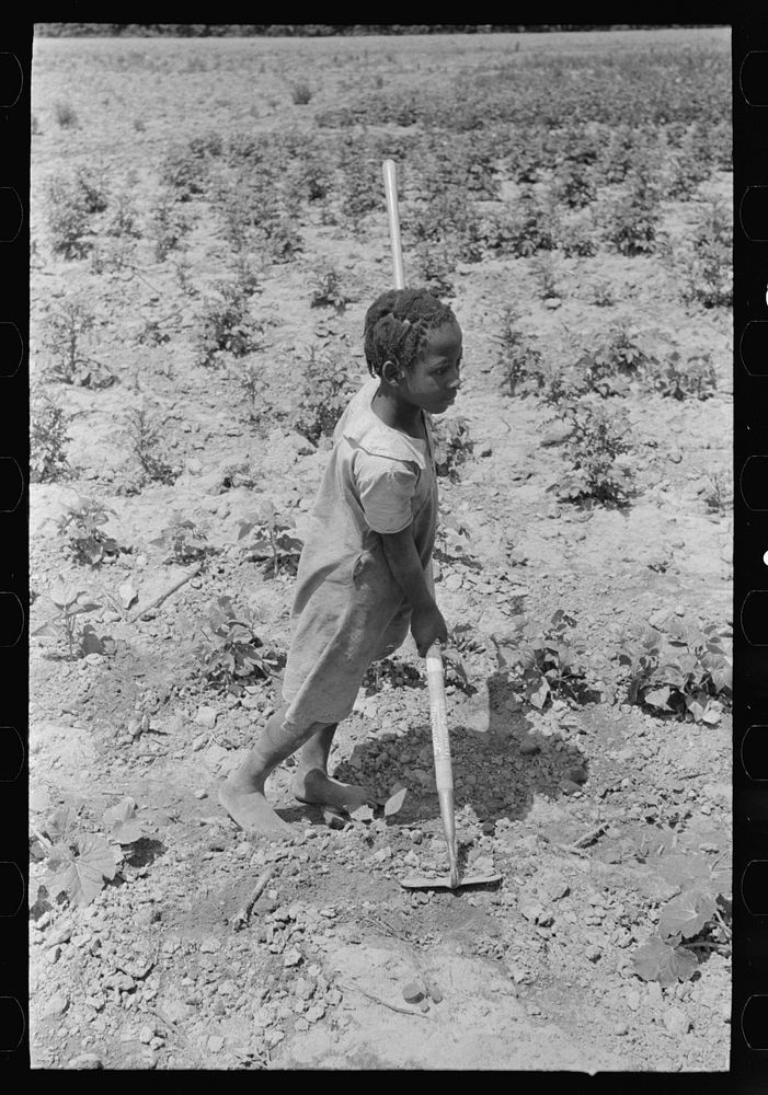 Southeast Missouri Farms. Daughter of FSA (Farm Security Administration) client, former sharecropper, leaning on hoe by…